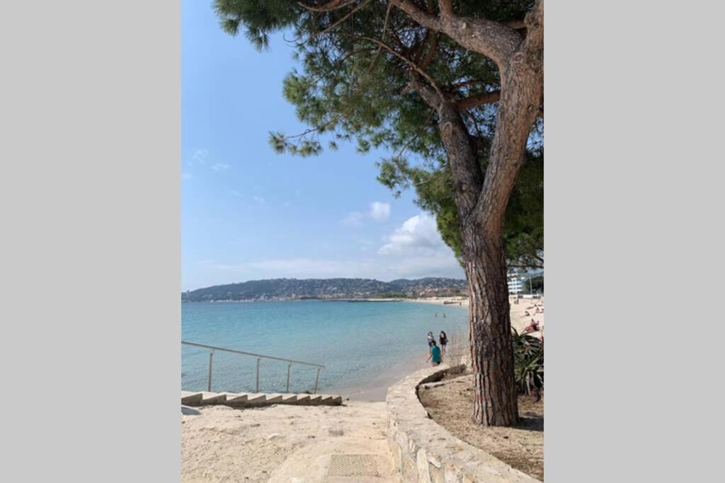 Juan Les Pins Joli T2 Parking Inclus! Apartamento Antibes Exterior foto